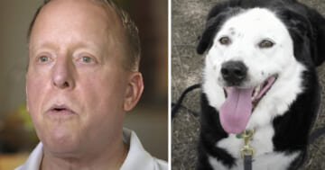 Guy Was Told He Had 5 Years To Live, So He Goes To A Shelter, Asked For An Obese, Middle-Aged Dog