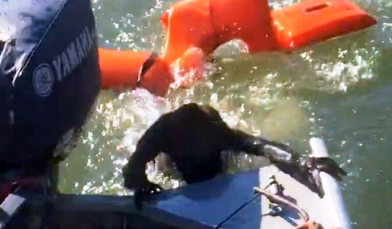 Fisherman Throws A Life-Jacket To Save Drowning Dog But It’s Not-A-Dog At All