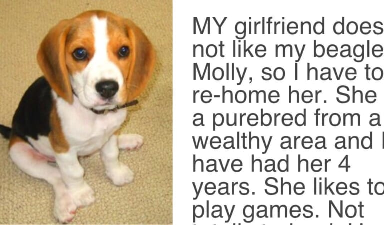 Girlfriend Gave Her Boyfriend An ‘Ultimatum’, Demands Either “The Dog Goes Or She Goes”
