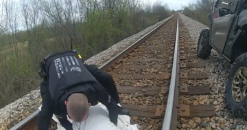 Injured Dog Was Stuck On Train Tracks For Days, Deputies Stepped In And Rescued The Wounded Animal