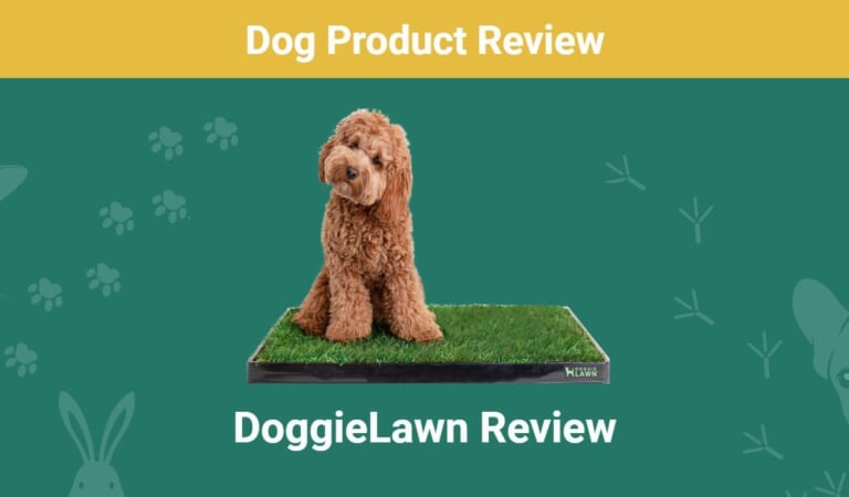 DoggieLawn Product Review 2024: Our Expert’s Opinion