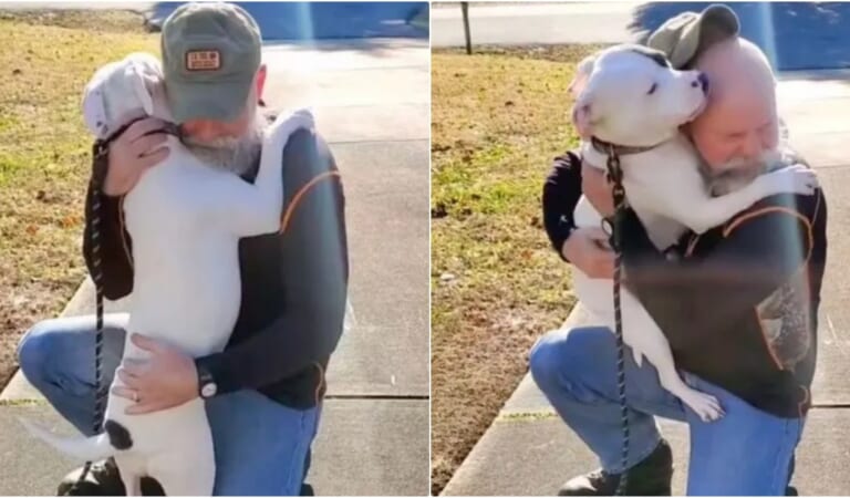A Dog In Need Meets Her New Dad And Gives Him Endless Hugs And Kisses