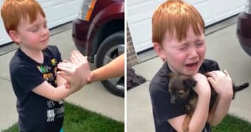 Boy Was Saving Up To Buy Puppy And Nana Asked Him To Close His Eyes & Stretch His Arms