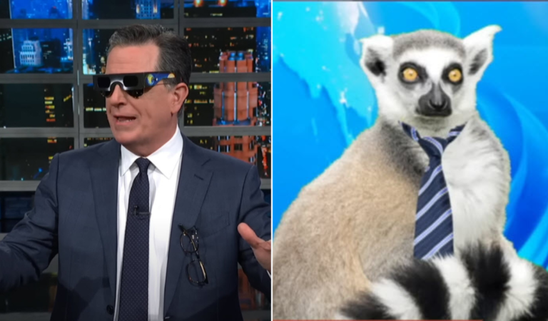 Stephen Colbert Unpacks the ‘Most Outlandish’ Animal Eclipse Reactions